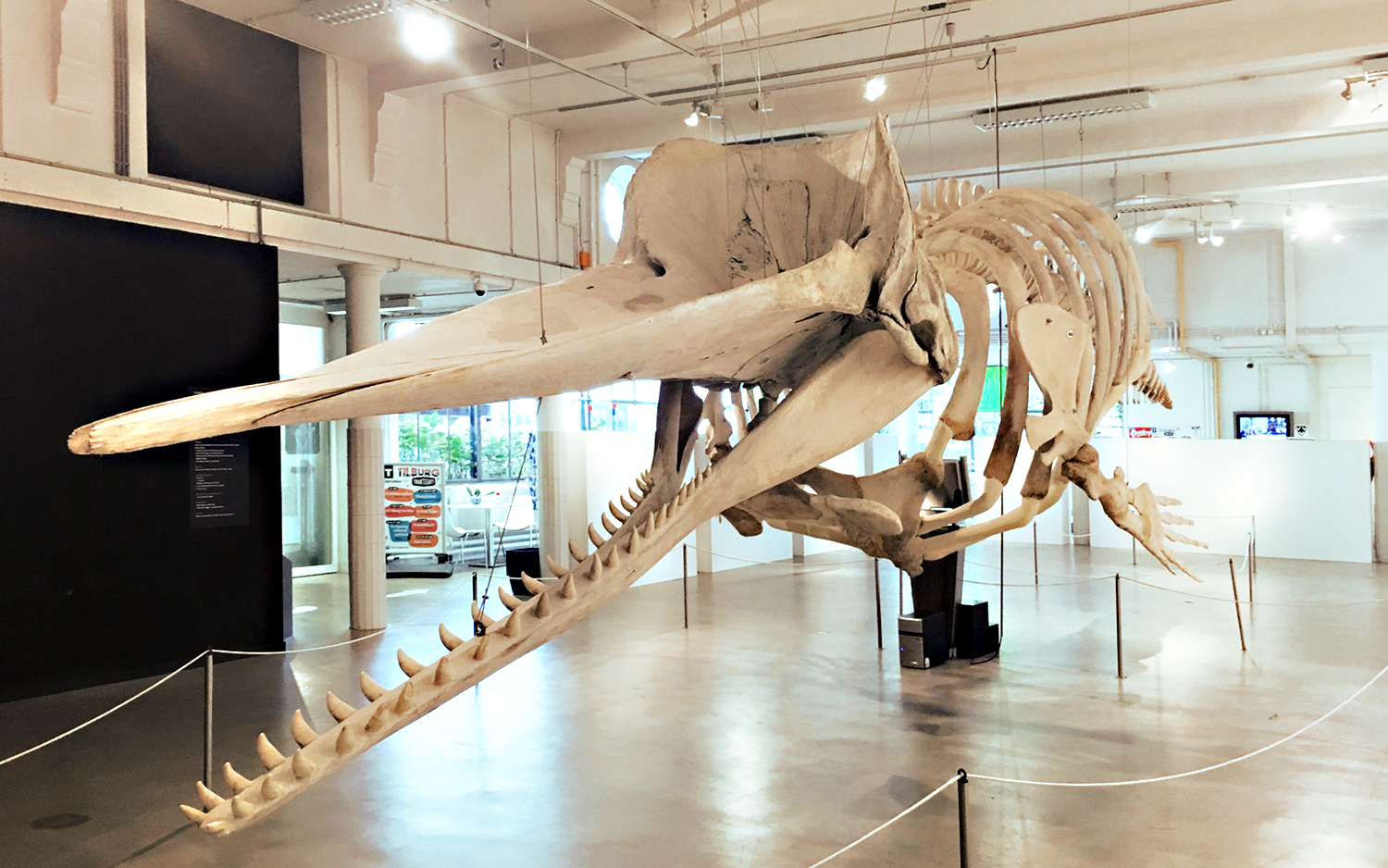 VVV – Natuurmuseum  Brabant